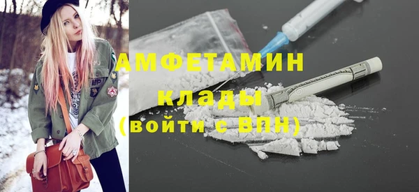 индика Волоколамск