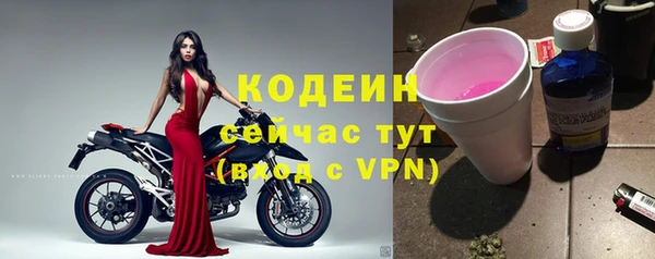 индика Волоколамск