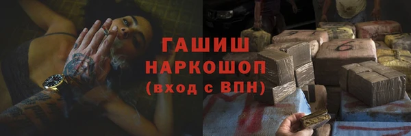 бошки Бородино