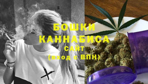 индика Волоколамск