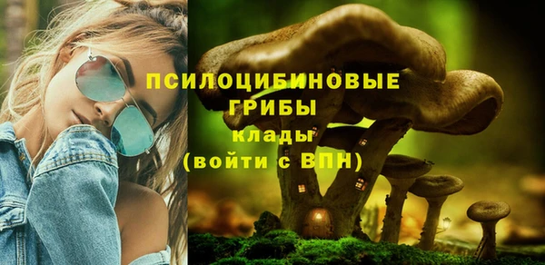 мескалин Покров