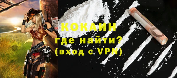 индика Волоколамск
