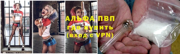 индика Волоколамск